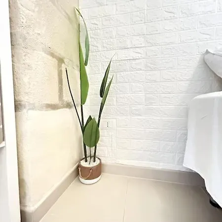 Apartman Accogliente Monolocale In Centro Storico